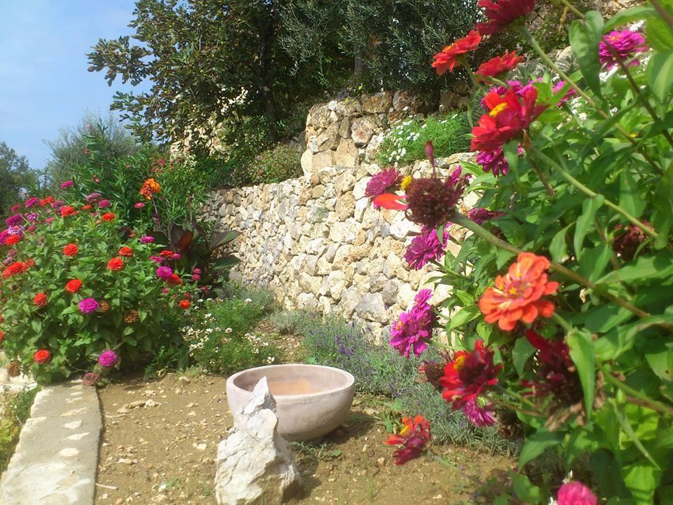 Villa Mora Banjol Exterior photo